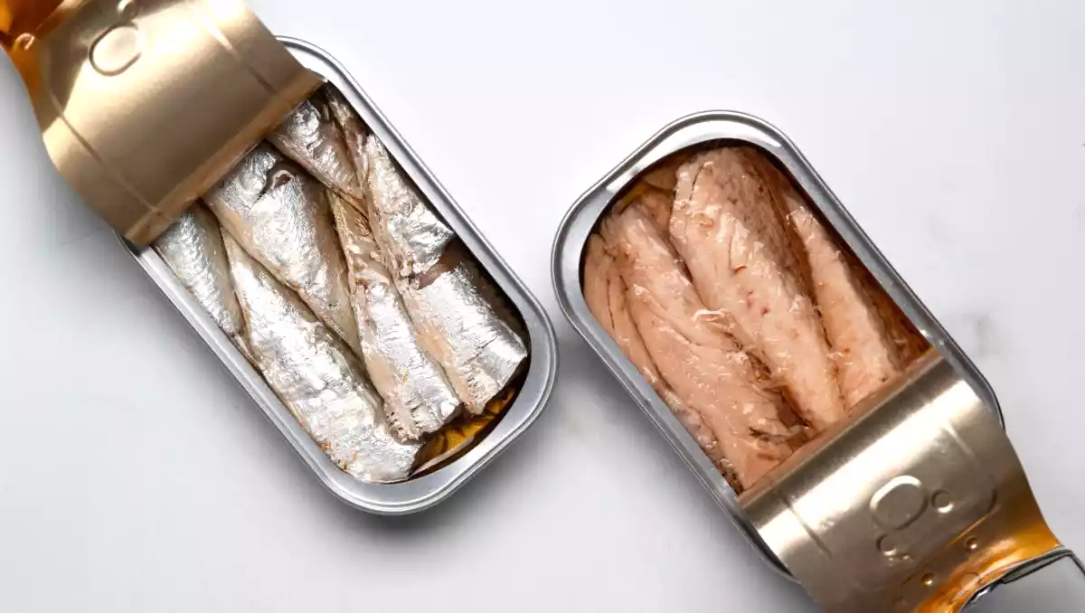 De terugkeer van sardines in blik: waarom dit visje alles in zich heeft